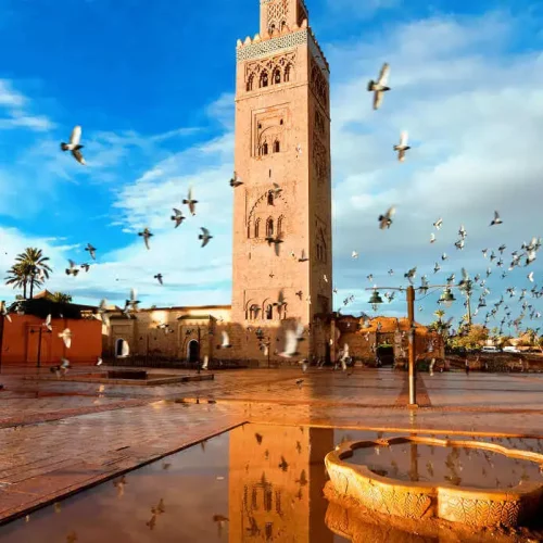 koutoubia-a3ba662baf_x1000_1